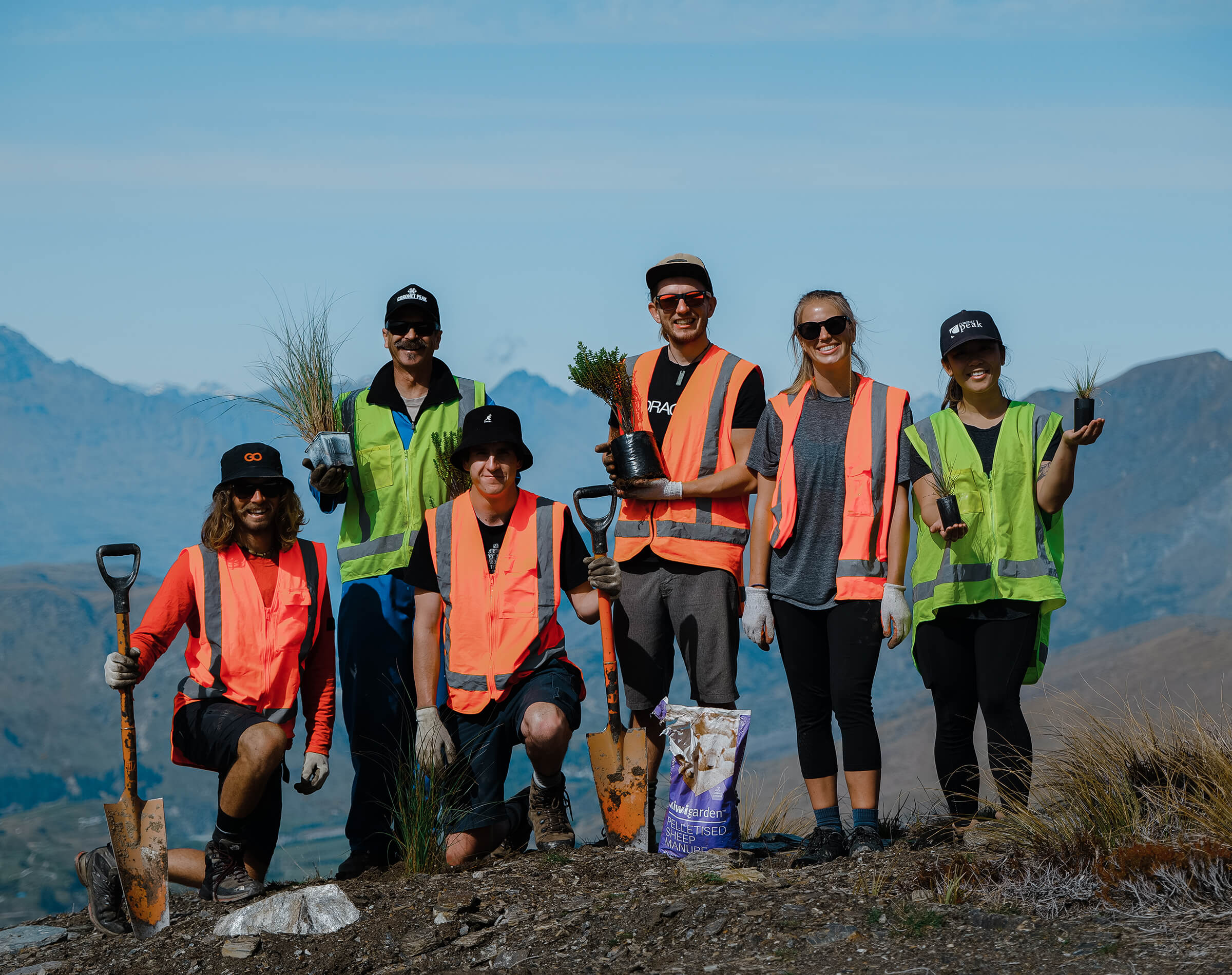 Six people in reflective vests holding shovels and plants on a rocky hill with mountains behind.